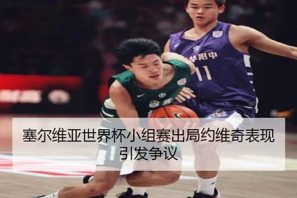 塞尔维亚世界杯小组赛出局约维奇表现引发争议